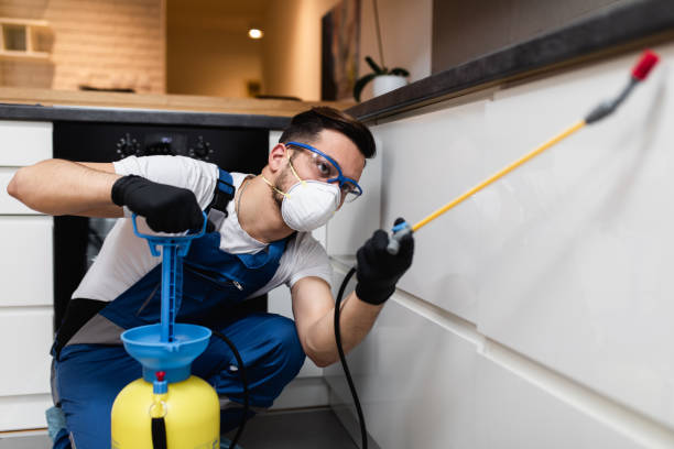 Pest Control for Restaurants in Little River Academy, TX