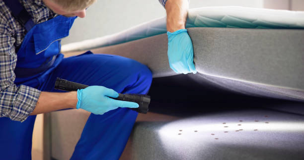 Best Affordable Pest Control Services  in Little River Academy, TX