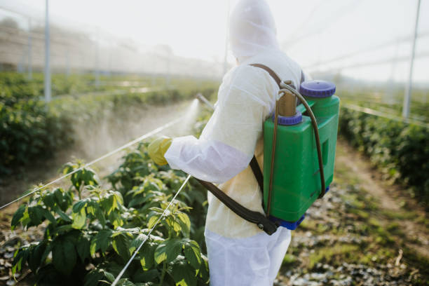 Trusted Little River Academy, TX Pest Control Experts
